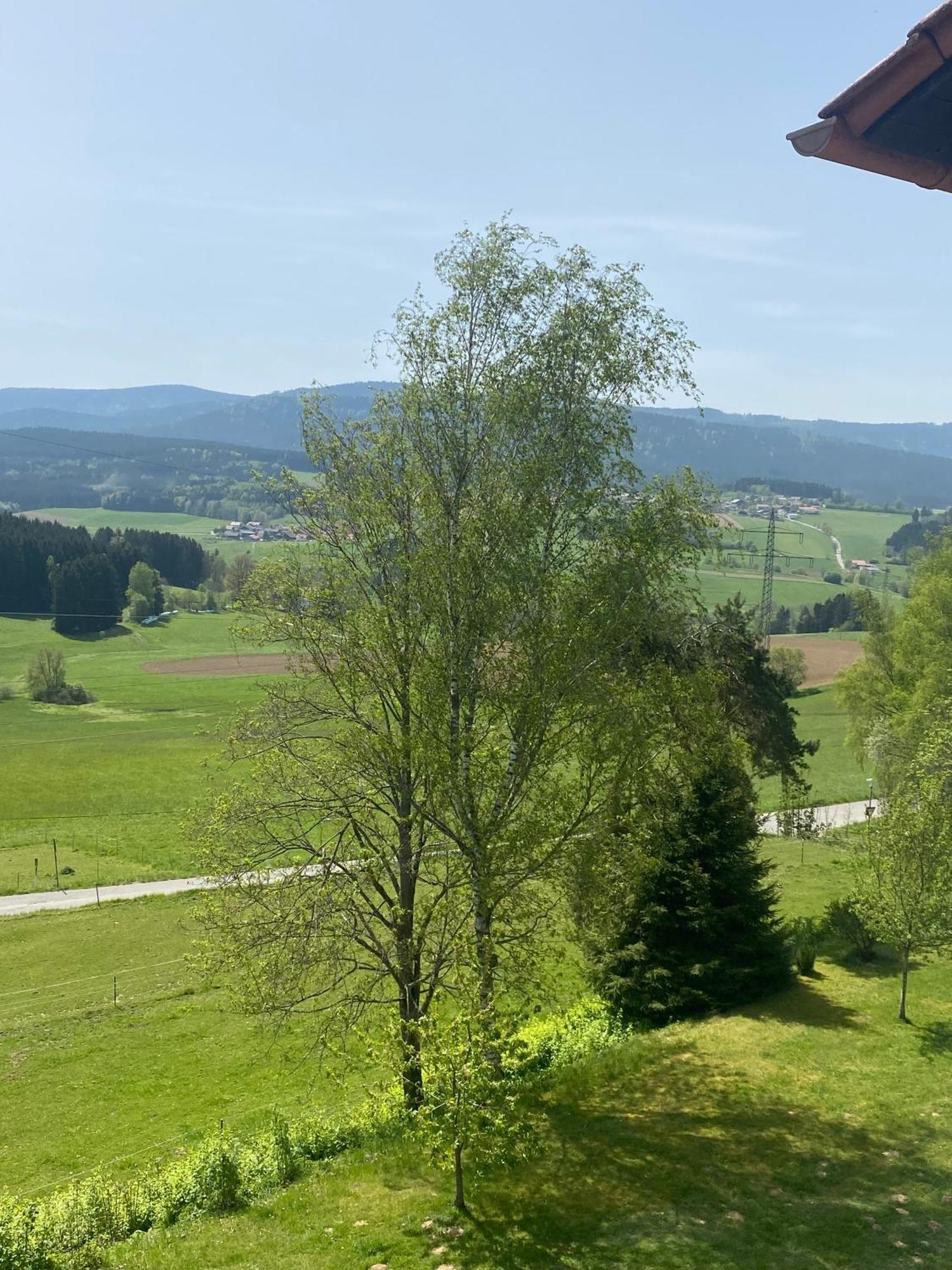 Appartamento Lussen Regen Esterno foto
