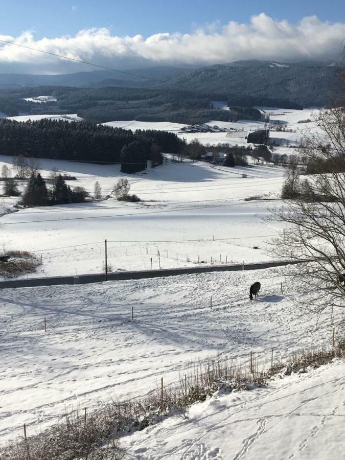 Appartamento Lussen Regen Esterno foto