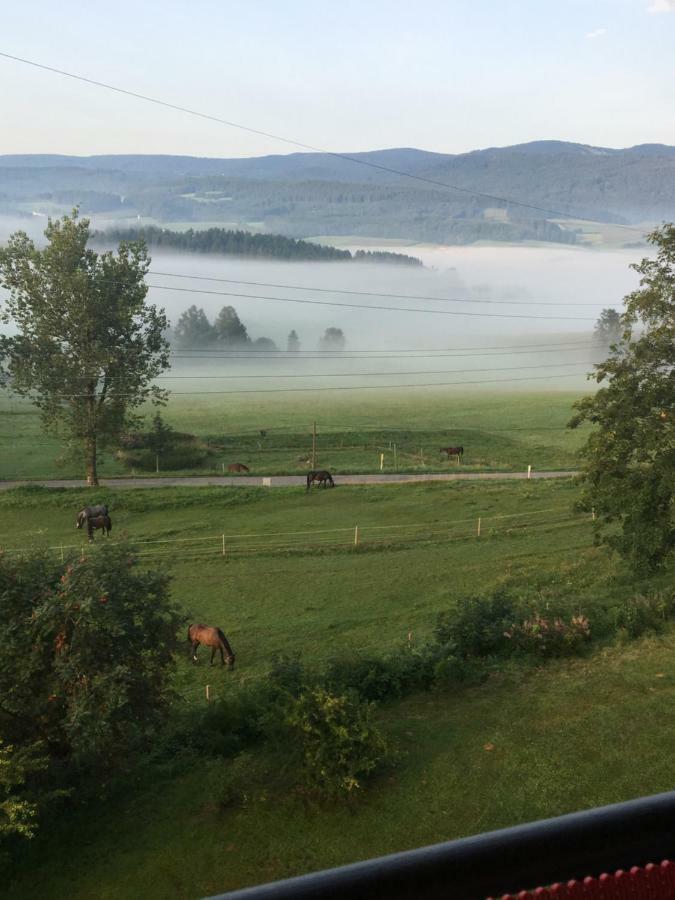 Appartamento Lussen Regen Esterno foto